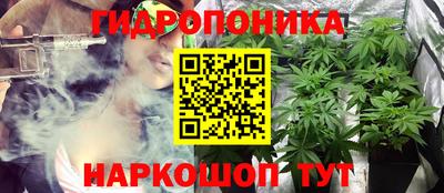 Альфа ПВП Волжск